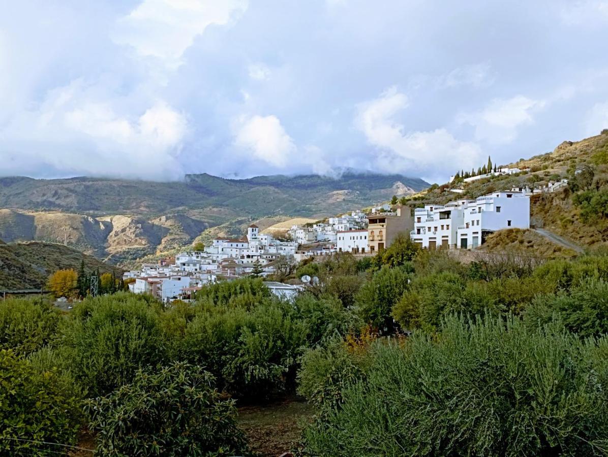 El Almendro De Maruja Apartment Torviscon ภายนอก รูปภาพ